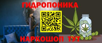 скорость Вышний Волочёк